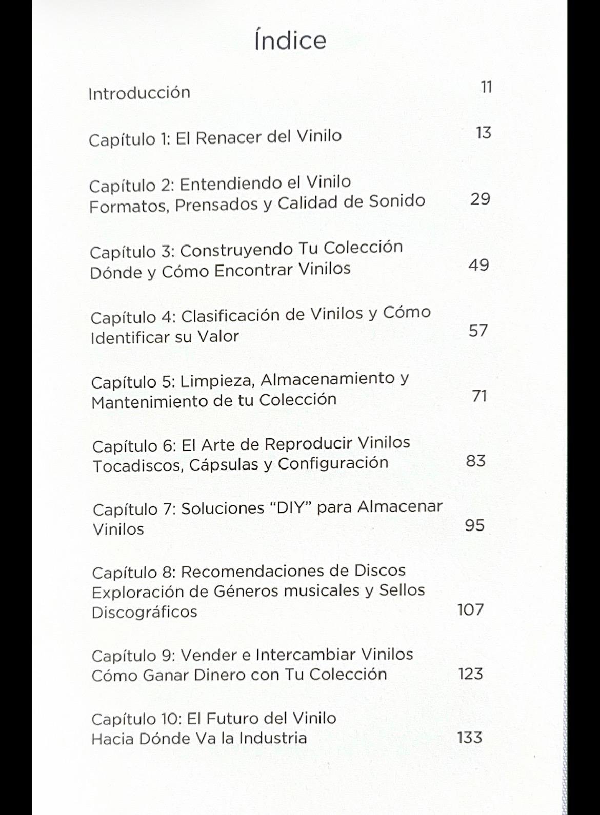 Guía Práctica Para Amantes Del Vinilo - Image 3