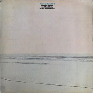 Charles Wright And The Watts 103rd Street Band* - You're So Beautiful