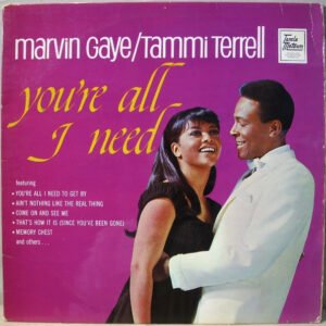 Marvin Gaye & Tammi Terrell - You're All I Need