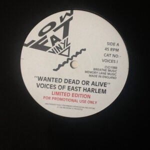 The Voices Of East Harlem - Wanted Dead Or Alive