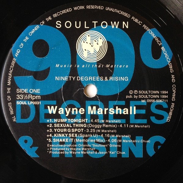 Wayne Marshall - Ninety Degrees & Rising - Image 3