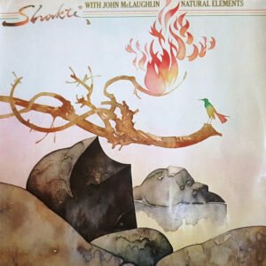 Shakti (2) With John McLaughlin - Natural Elements