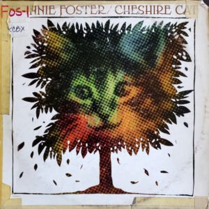 Ronnie Foster - Cheshire Cat