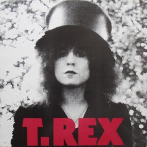 T. Rex - The Slider