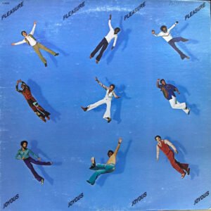 Pleasure - Joyous