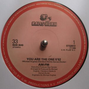 AM-FM - You Are The One