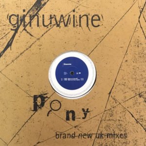 Ginuwine - Pony