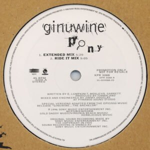 Ginuwine - Pony