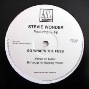 Stevie Wonder Featuring Q-Tip - So What's The Fuss