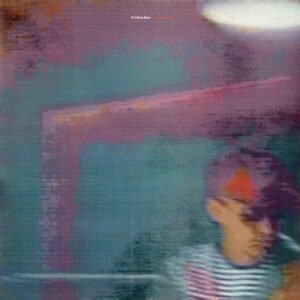 Pet Shop Boys - Disco