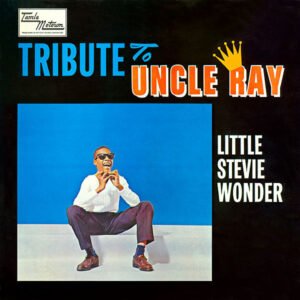 Little Stevie Wonder* - Tribute To Uncle Ray