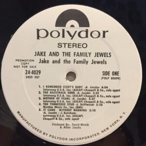 Jake And The Family Jewels - Jake And The Family Jewels