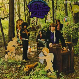The Little Boy Blues - In The Woodland Of Weir