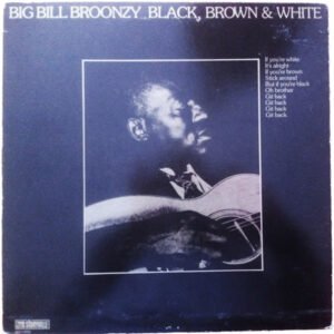 Big Bill Broonzy - Black, Brown & White